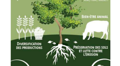 Maintien des paysages bocagers