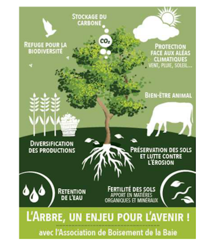 Maintien des paysages bocagers