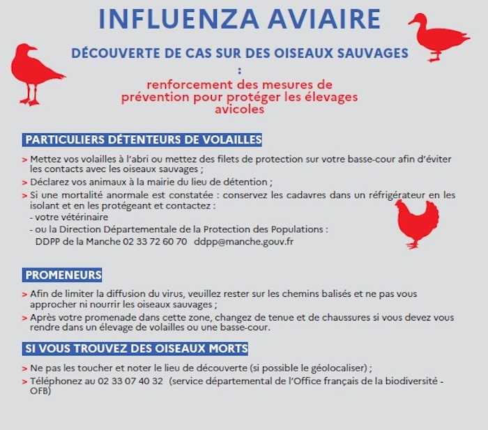 Influenza Aviaire